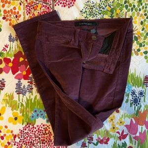 Calvin Klein Jeans - Corduroy 2